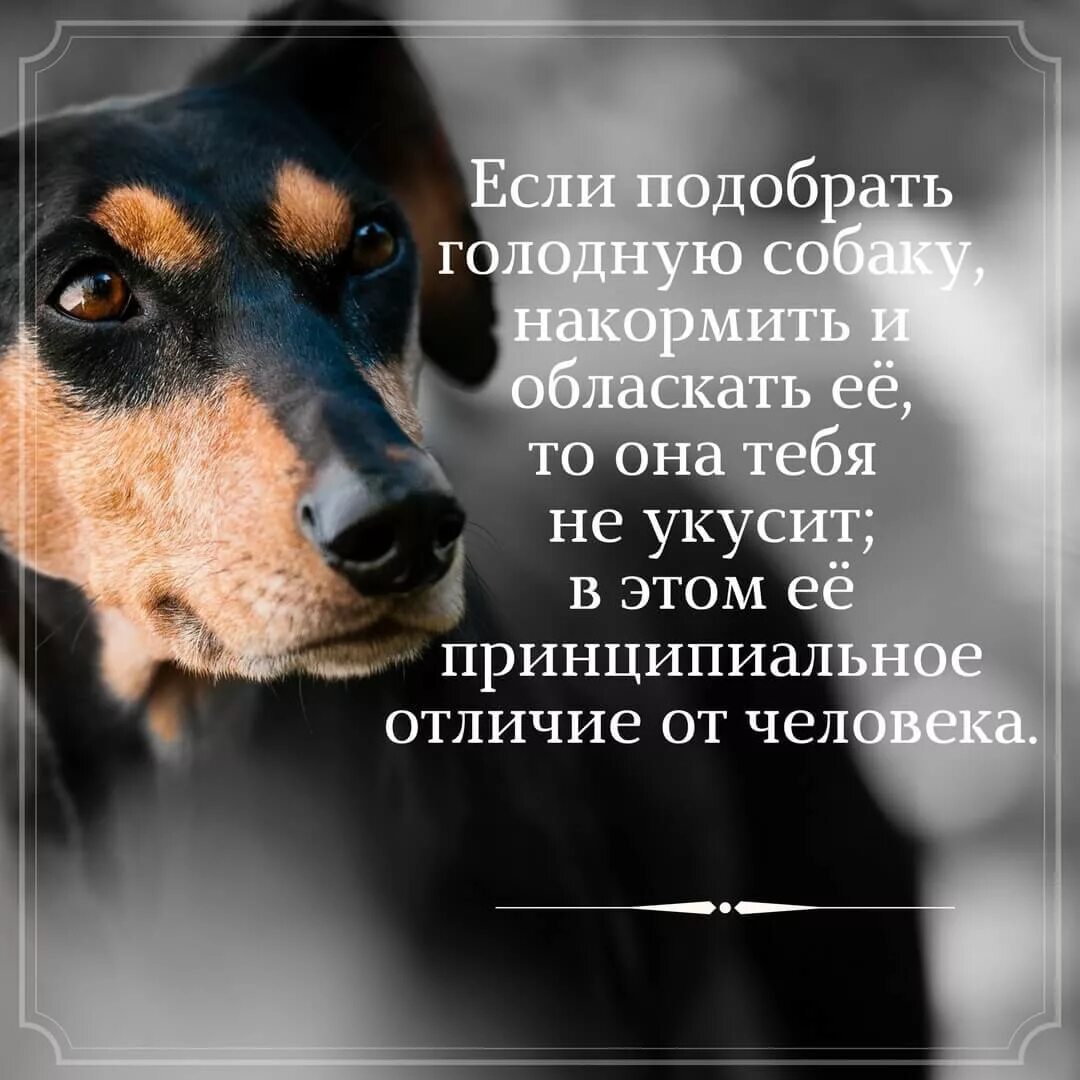 Высказывания о жизни со смыслом в картинках. Красивые цитаты. Статусы со смыслом. Интересные статусы в картинках. Красивые статусы про жизнь.