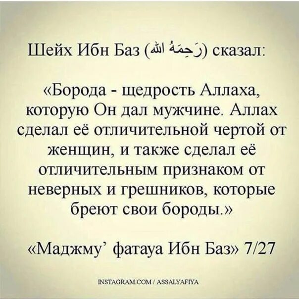 Высказывание шейха. Ибн баз сказал. Высказывания ибн Таймии. Ибн Таймия цитаты. Ибн аль таймия