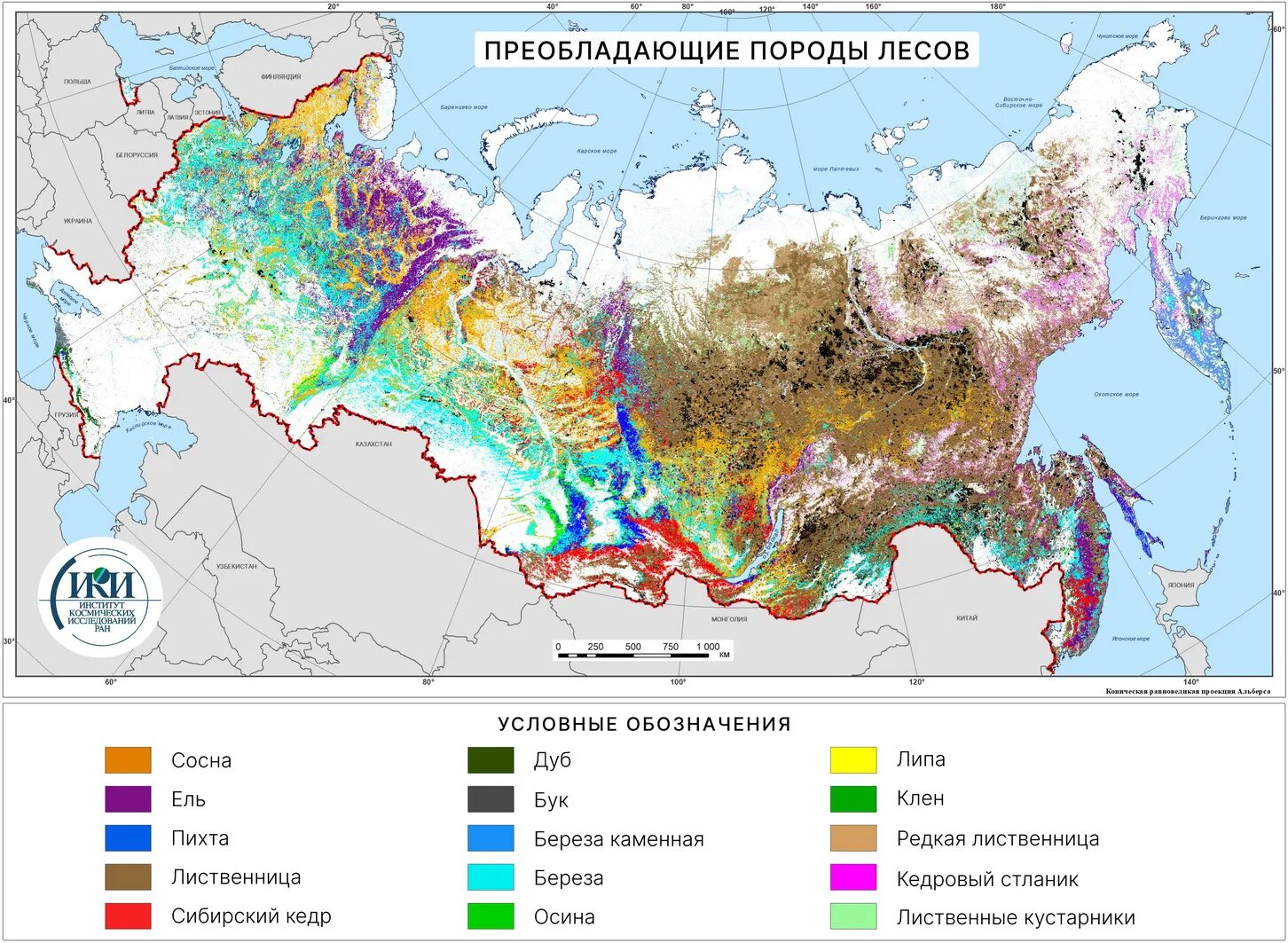 Преобладающие породы леса. Карта исследования лесов. Классы бонитета леса. Таблица Орлова бонитет леса.