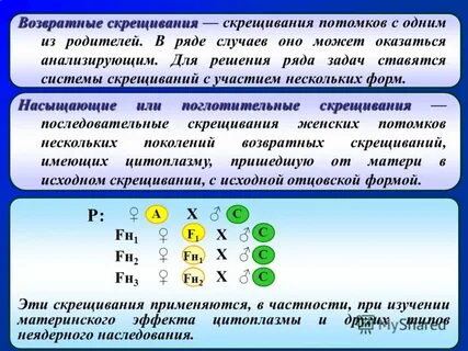 Возвратное скрещивание в генетике