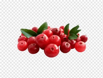 Клюква вишня