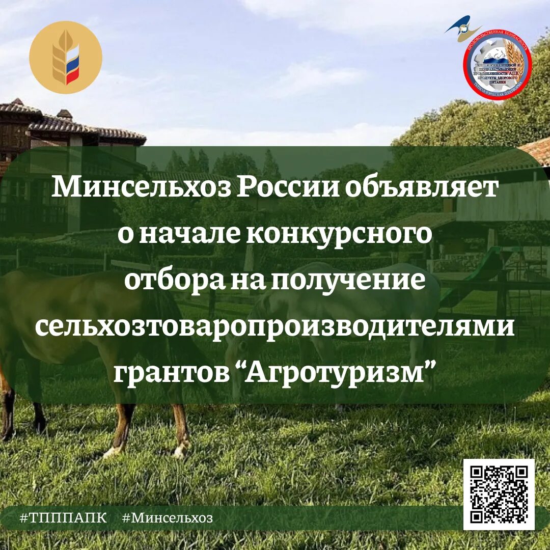 Проект развитие сельского туризма