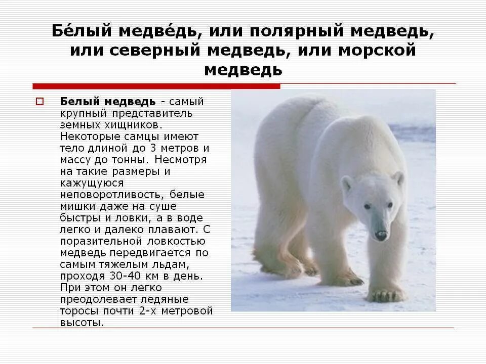 Почему уменьшается