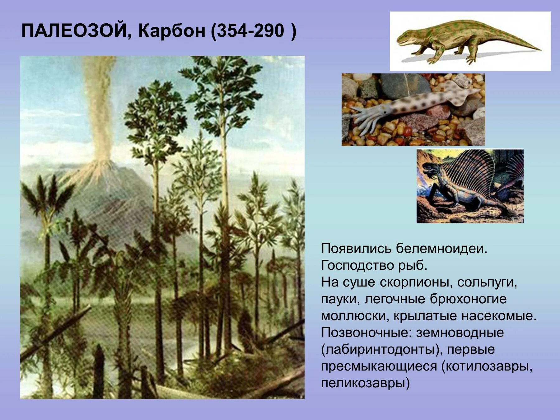 Карбон эра период. Карбон период палеозойской эры. палеозойская эра карбон. каменноугольный период палеозойской эры. каменноугольный период палеозойской эры растения.
