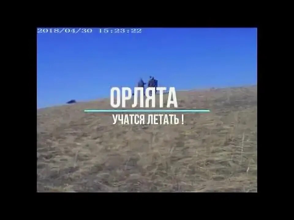 Орлята учатся. Орлята учатся летать песня слушать. КСК Орлята учатся летать. Орлята учатся летать караоке. Орлята учатся летать плюс.