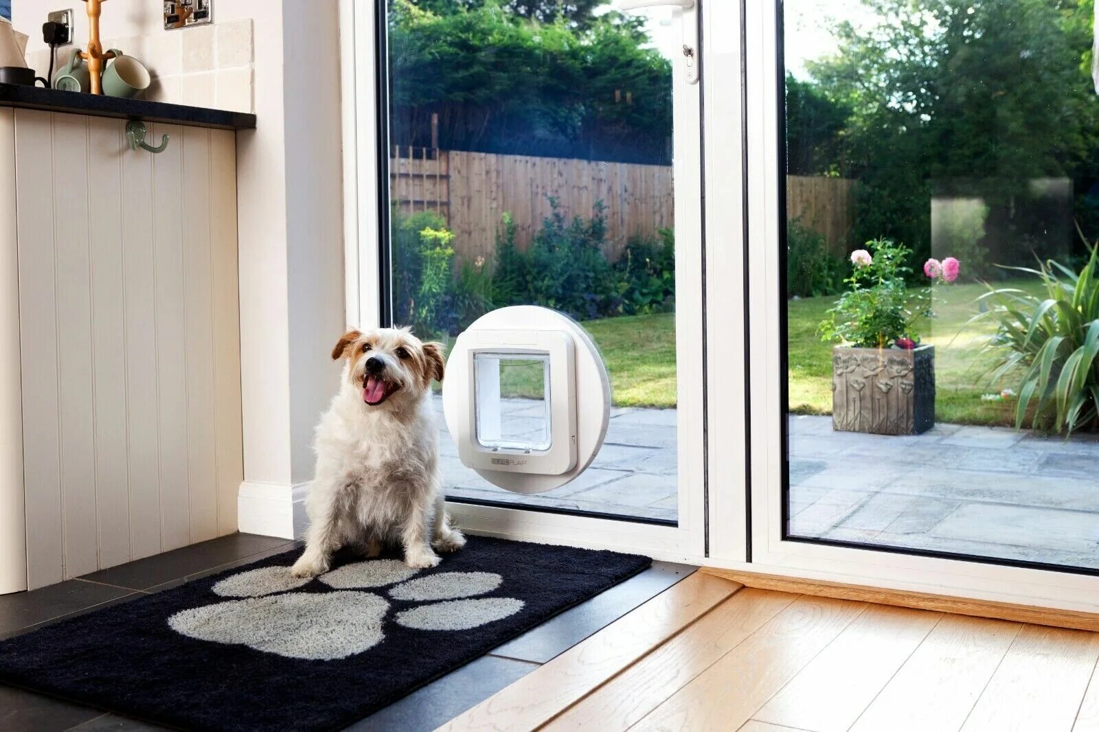 Meet pet. Двери для кошек оригинальные. Pet Door окно. Pet Door Proofing. Pets open the Door.