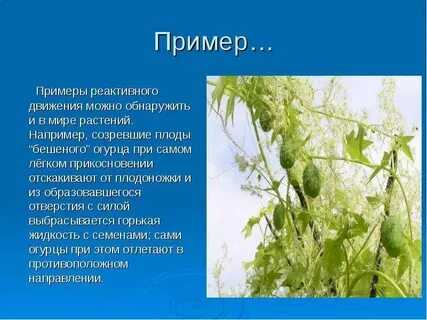 Самые легкие презентации