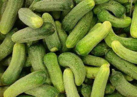 Огурцы маленькие белые