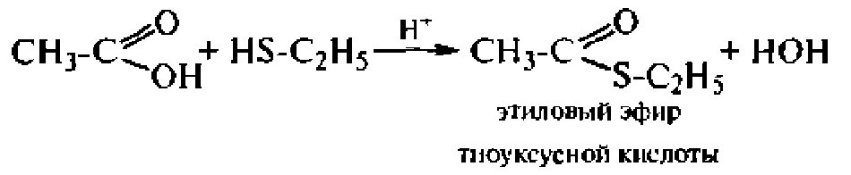 Гидролиз этилового эфира уксусной кислоты. Пропан 2 тиол уксусная кислота. Пропан-1-тиол. Окисление тиолов реакции. Тиолы химические свойства.