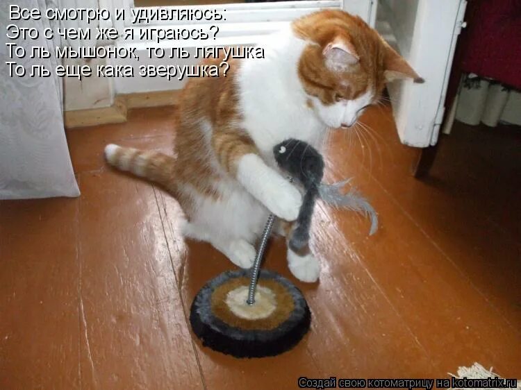 толпа удивленных людей. удивление эмоция. девушка удивление. любознательность женщина. посмотрите это вас удивит.