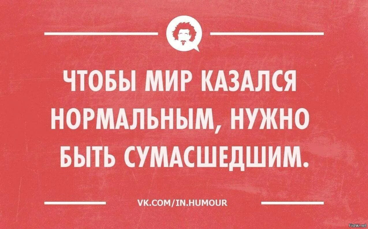 Высказывания о дураках. Безумный мир афоризмы. Безумный афоризмы. Цитаты про дураков. Ты безумная я знаю ты невыносимая.