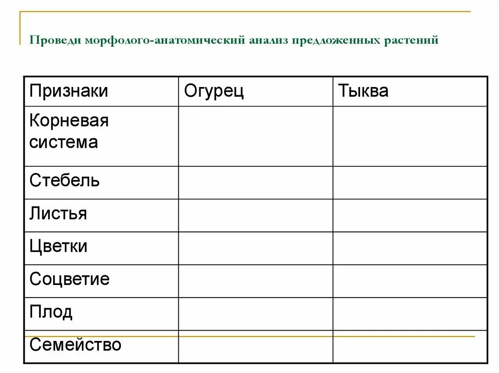 Изучение морфологических особенностей растений различных видов. Лабораторная работа морфологические особенности. Лабораторная работа морфологические особенности растений.