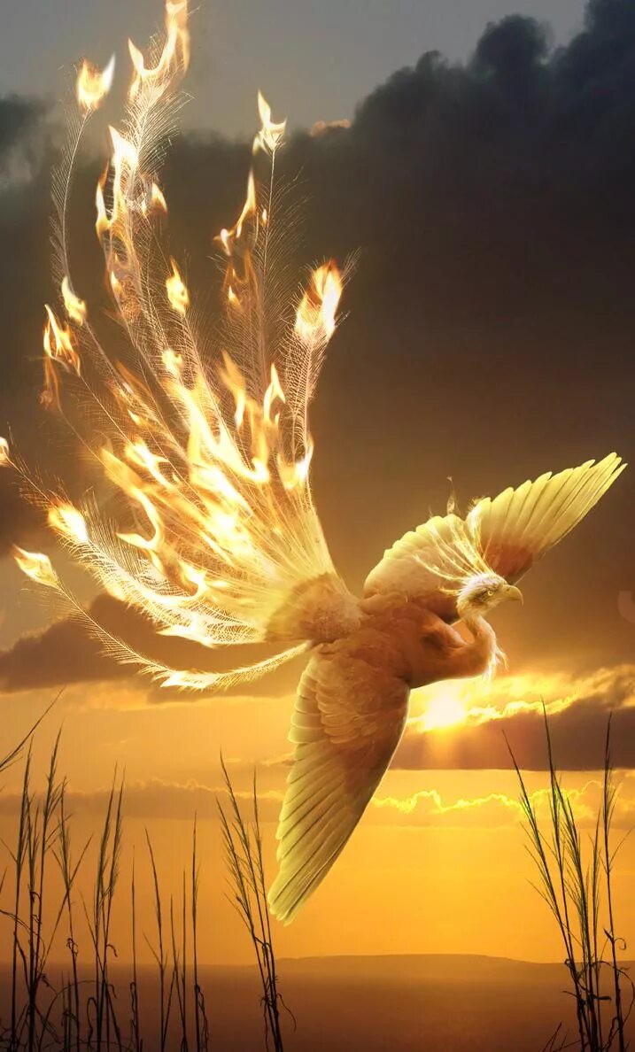 Счастливая девушка. Хумо зороастризм. Длинные волосы в воде. Жара летать. Жара летать.