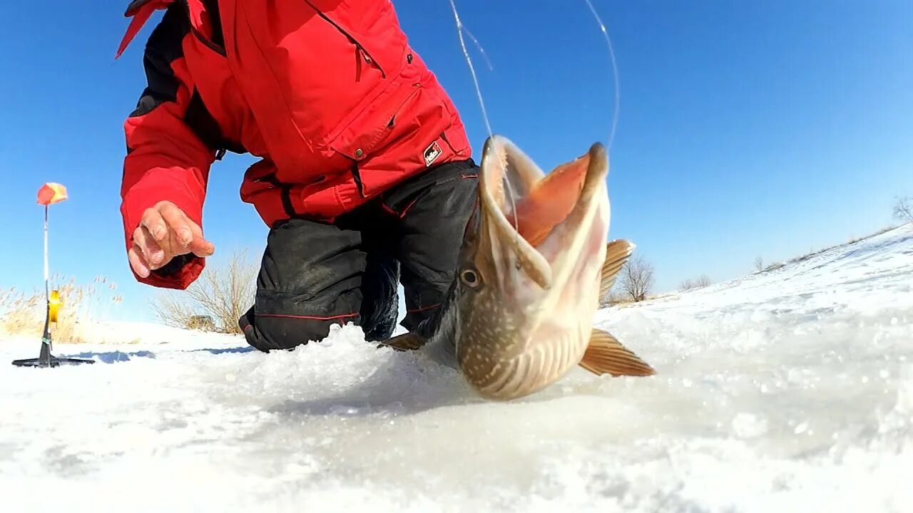 Ловля со льда видео. Зимняя рыбалка. Подледная рыбалка. Зимняя рыбалка на льду. Зимняя рыбалка фотосток.