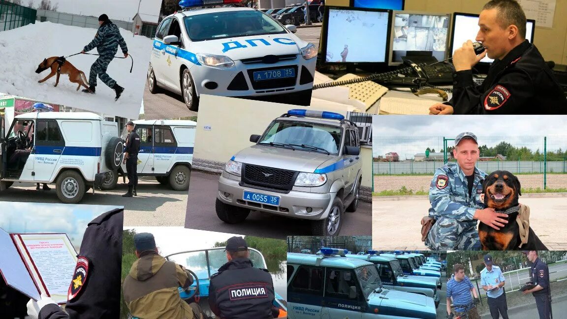 Жизнь и деятельность полиции. Деятельность полиции. общественное мнение о полиции. опрос о деятельности полиции. опрос общественного мнения о деятельности полиции.