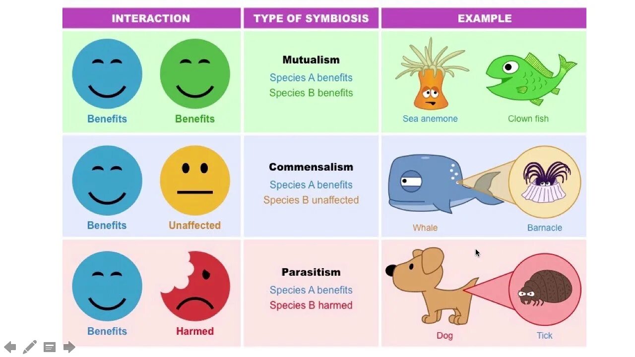 Interactive type. Types of symbiosis. мемы про симбиоз. symbiosis and mutualism. symbiotic relationship.