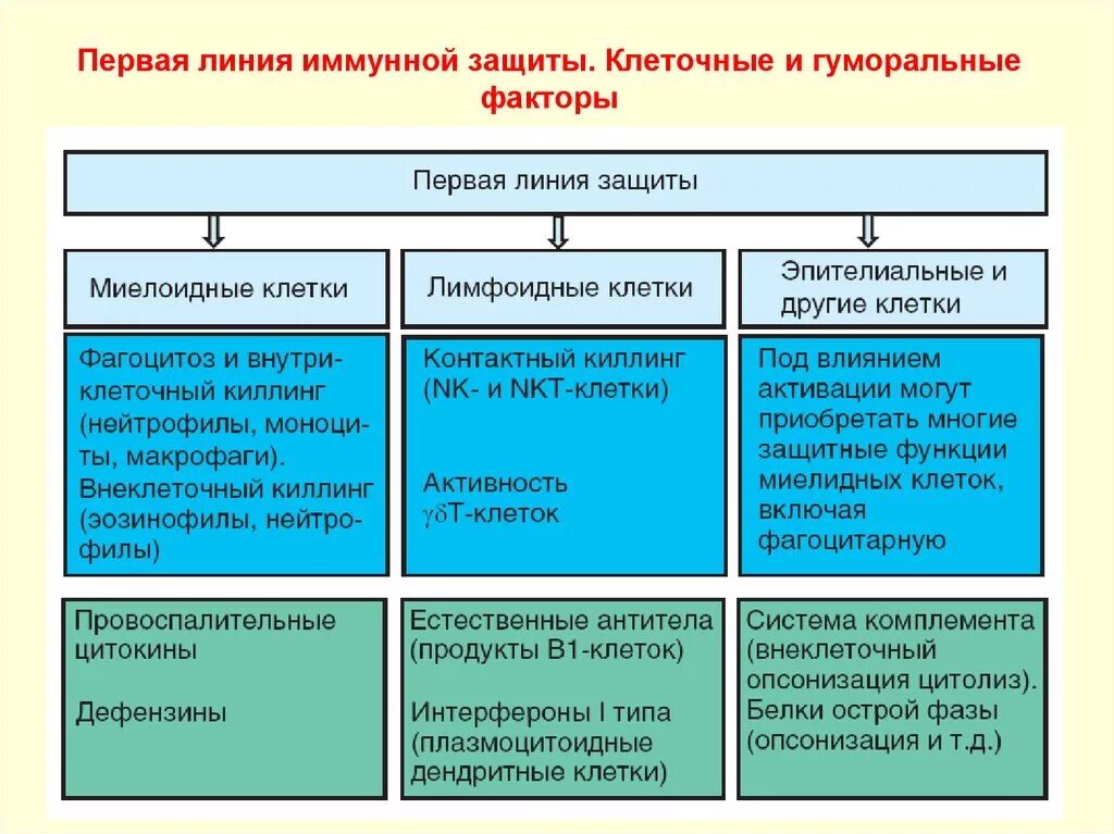 Сайт линия защиты. Первая линия защиты (врожденный иммунитет). Клеточные и гуморальные факторы защиты. Клеточные и гуморальные факторы иммунной защиты. Клеточные факторы защиты.