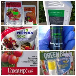 Баковые смеси для сада осенью