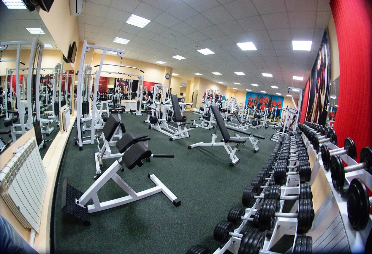 Шира фитнес брянск. Империя брянск фитнес. Империя бассейн брянск. Империя брянск. Империя брянск фитнес.