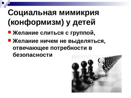 Конформизм простыми словами