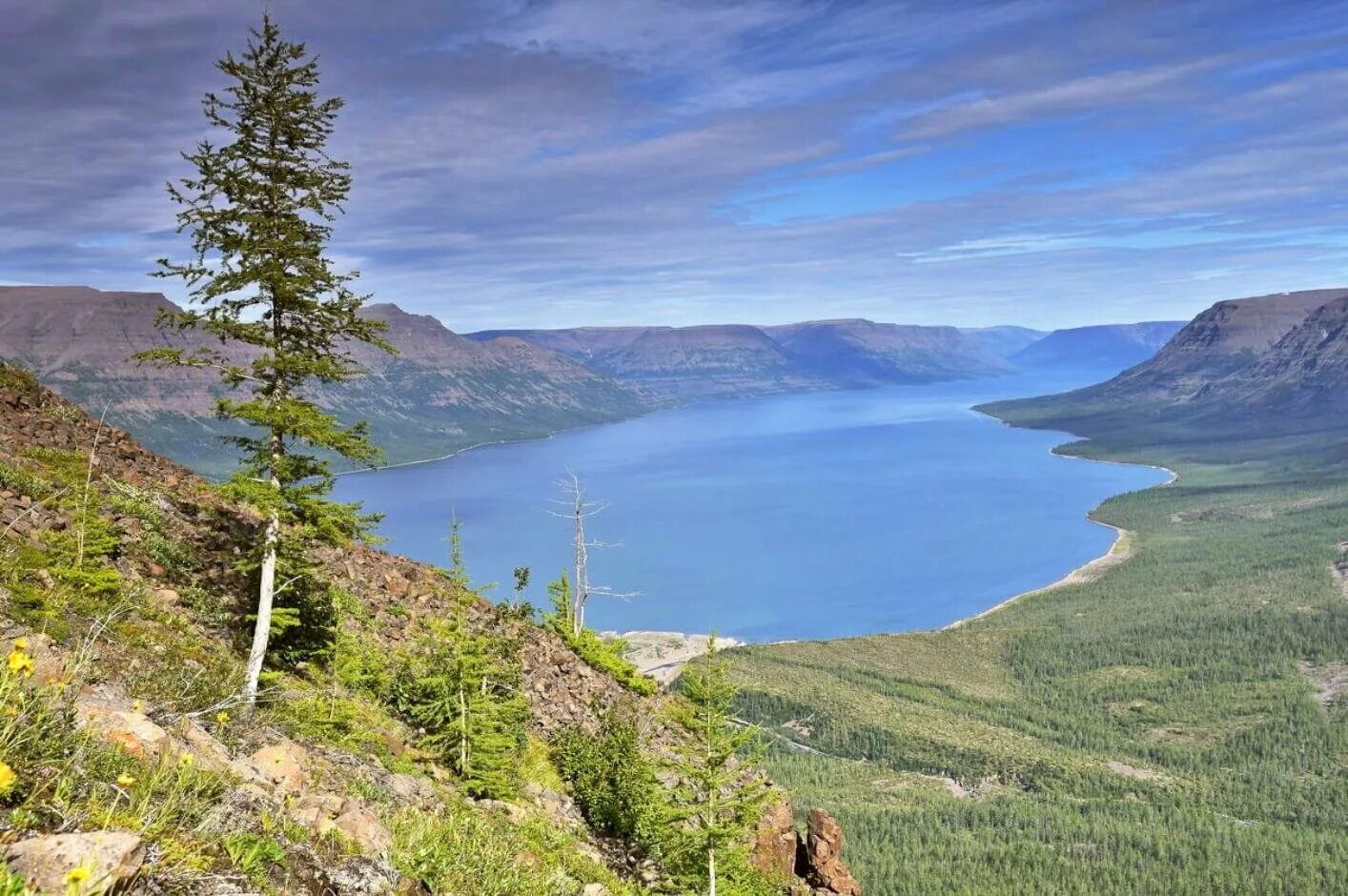 Озеро таймыр плато путорана. Таймыр плато путорана. Озеро таймыр красноярский край. Озеро лама плато путорана. Озеро таймыр.
