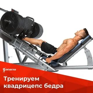 Жим квадрицепс