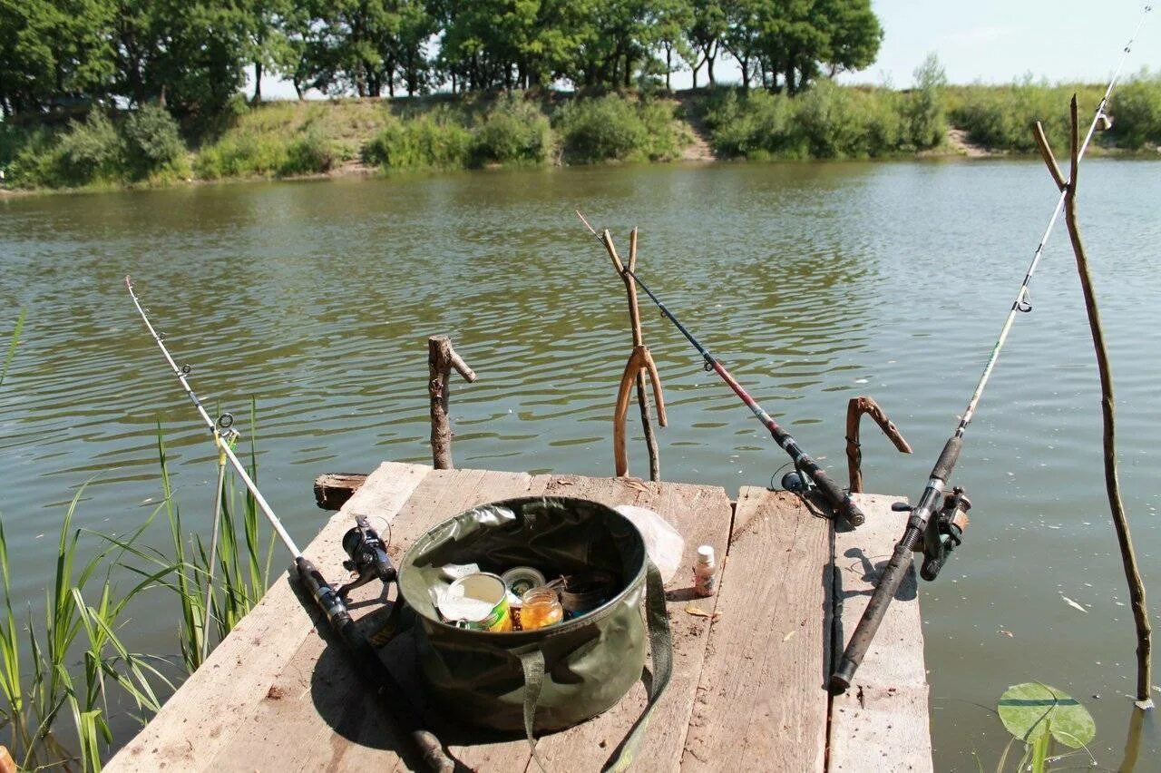 Платный водоем для рыбалки. Платное озеро для рыбалки. Рыбалка на платных прудах. Рыбалка на пруду. Лов рыбы на озерах