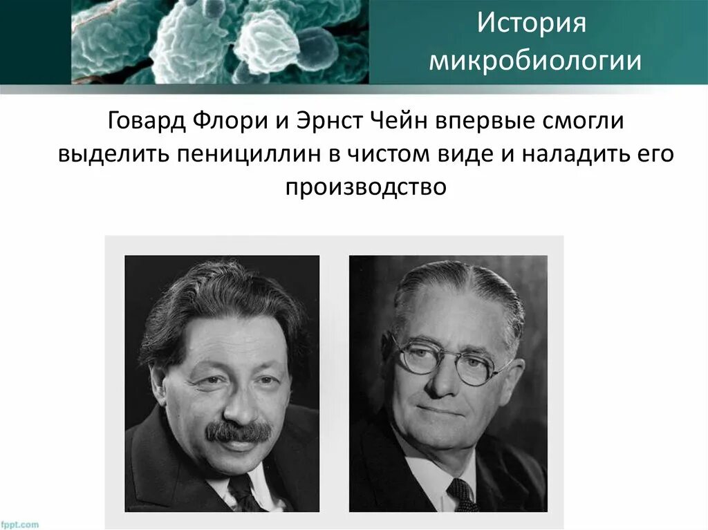 Говард Флори пенициллин. Говард Флори и Эрнст чейн. Флори и чейн пенициллин. Нобелевская за пенициллин