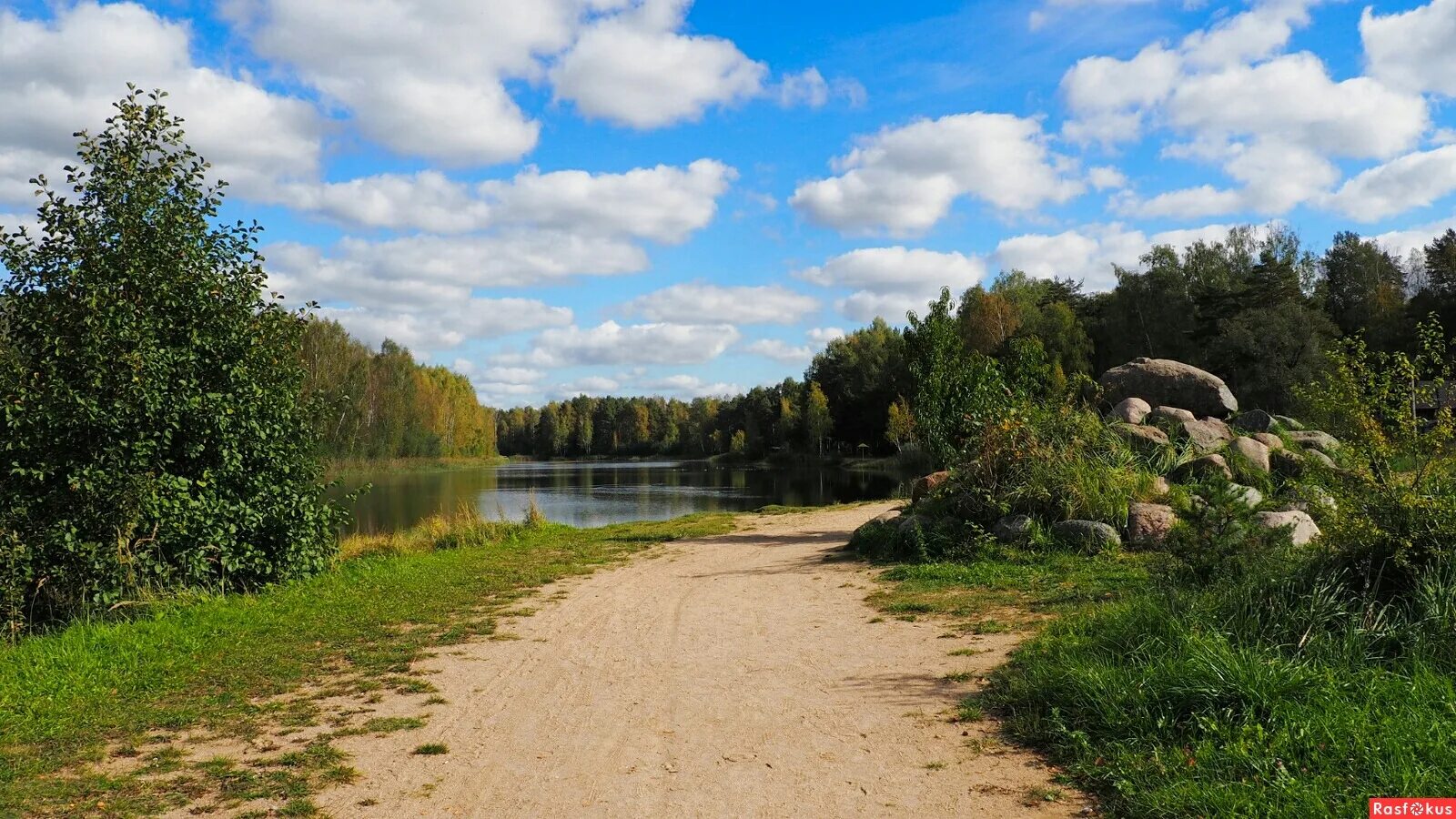 Нижняя дубровенка 50. Лес картинки. Деревня рай в смоленской области. Город дорогобуж смоленской области. Хиславичский район смоленская область река.