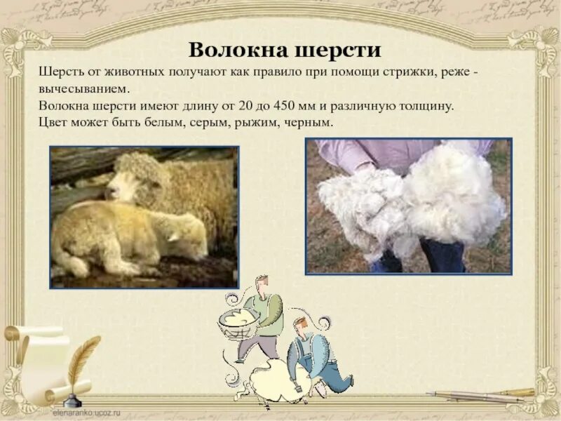Что означает шерстяной