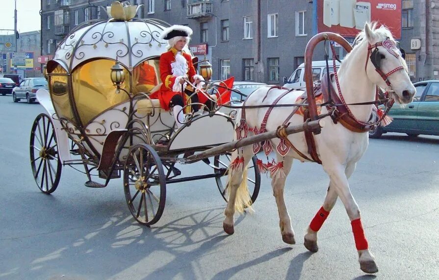 Карета с лошадью. Карета с лошадью. Царская карета с лошадьми. Карета с кучером. Кучер кареты золушки.