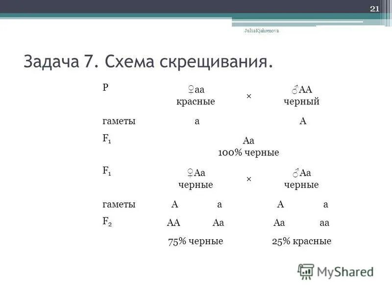 Первый закон менделя биология 9 класс. Задачи по генетике законы менделя. Задачи по генетике законы менделя. Задачи по генетике законы менделя. Задачи по генетике законы менделя.