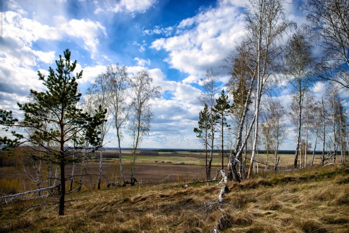 Памятники природы тюменской области. Сибирь Тюмень природа. Тюменская область природа Тюмень природа. Природа Тюменского района. Сибирь Тюмень природа Каменка.