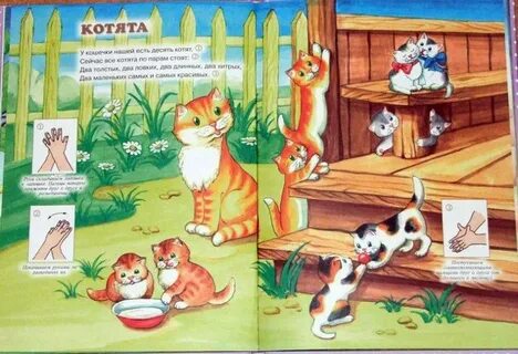Левая правая железнова