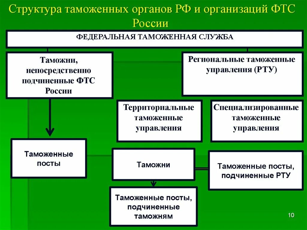 Назовите таможенные органы