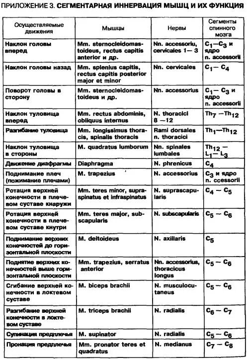 Функции иннервация кровоснабжение мышц. Сегментарная иннервация внутренних органов таблица. иннервация мышц таблица. сегментарная иннервация мышц таблица. иннервация мышц речевого аппарата таблица.