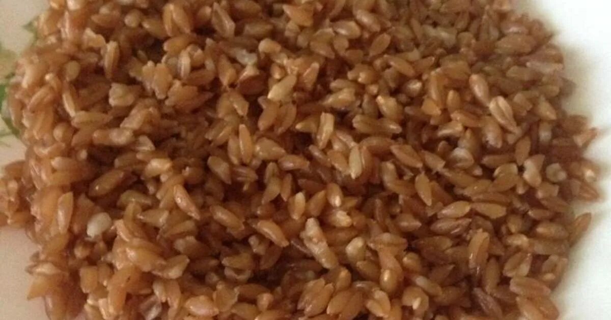 крупы на гарнир. полба на гарнир. полба на гарнир. полба вареная. полба фарро.