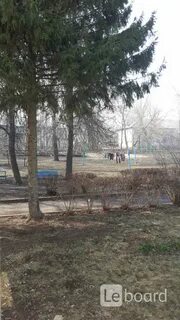 Село береговое рязанская область