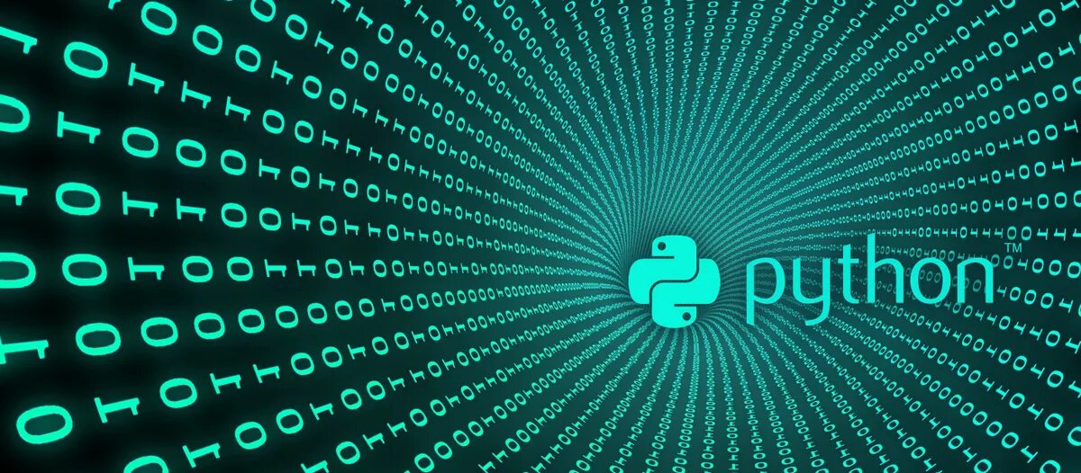 Среда программирования python. Мистер питон. Язык программирования python. Язык программирования питон для чайников. Айти питон.