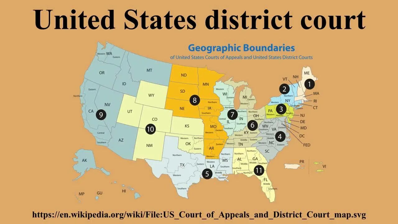 United States District Court. Federal District Courts. USA Federal District. Суды США на карте. State district