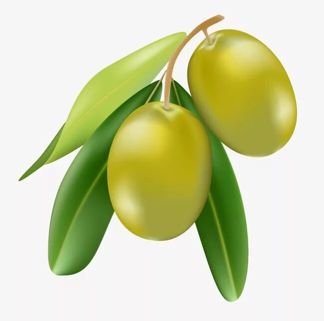 Olive ii