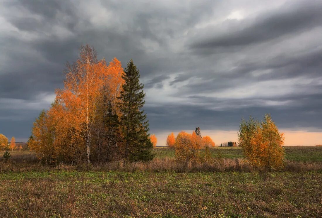 Серое небо осени. Осеннее поле. Хмурая осень. Пасмурная осень. Хмурое небо осенью.