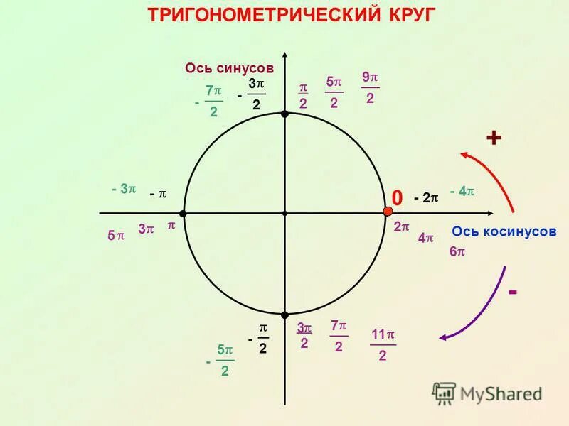 Проекция силы на ось. Проекции на осях косинус и синус физика. Тригонометрический круг ось косинусов. Единичная окружность со значениями синусов и косинусов. Синус проекция на ось.