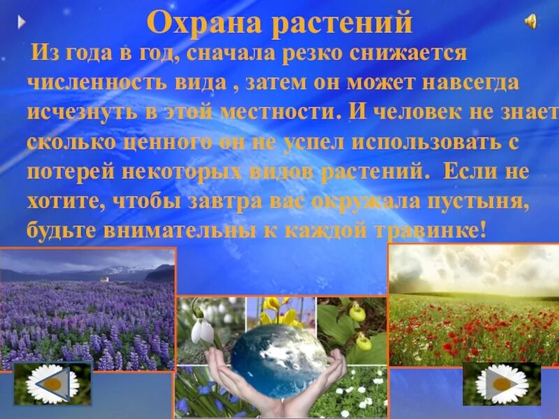 Сообщение об охране природы. Охрана растений. Охрана растений доклад. Охрана растений презентация. Окружающий мир охрана растений.