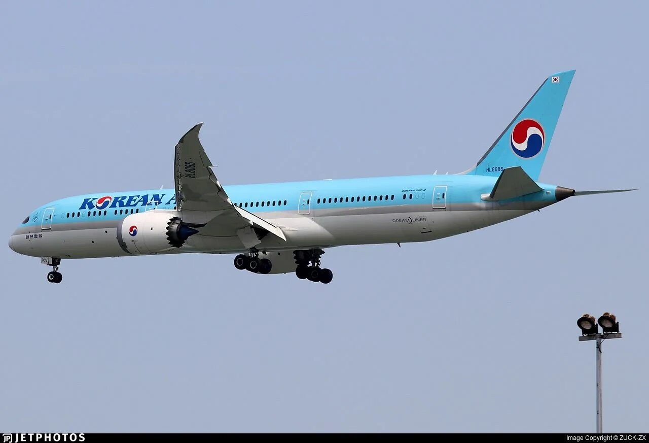 Самолет ташкент сеул. Кореан эйр стюарт. Самолет ташкент сеул. Uzbekistan airways boeing 787 внутри. Самолет узбекистан.