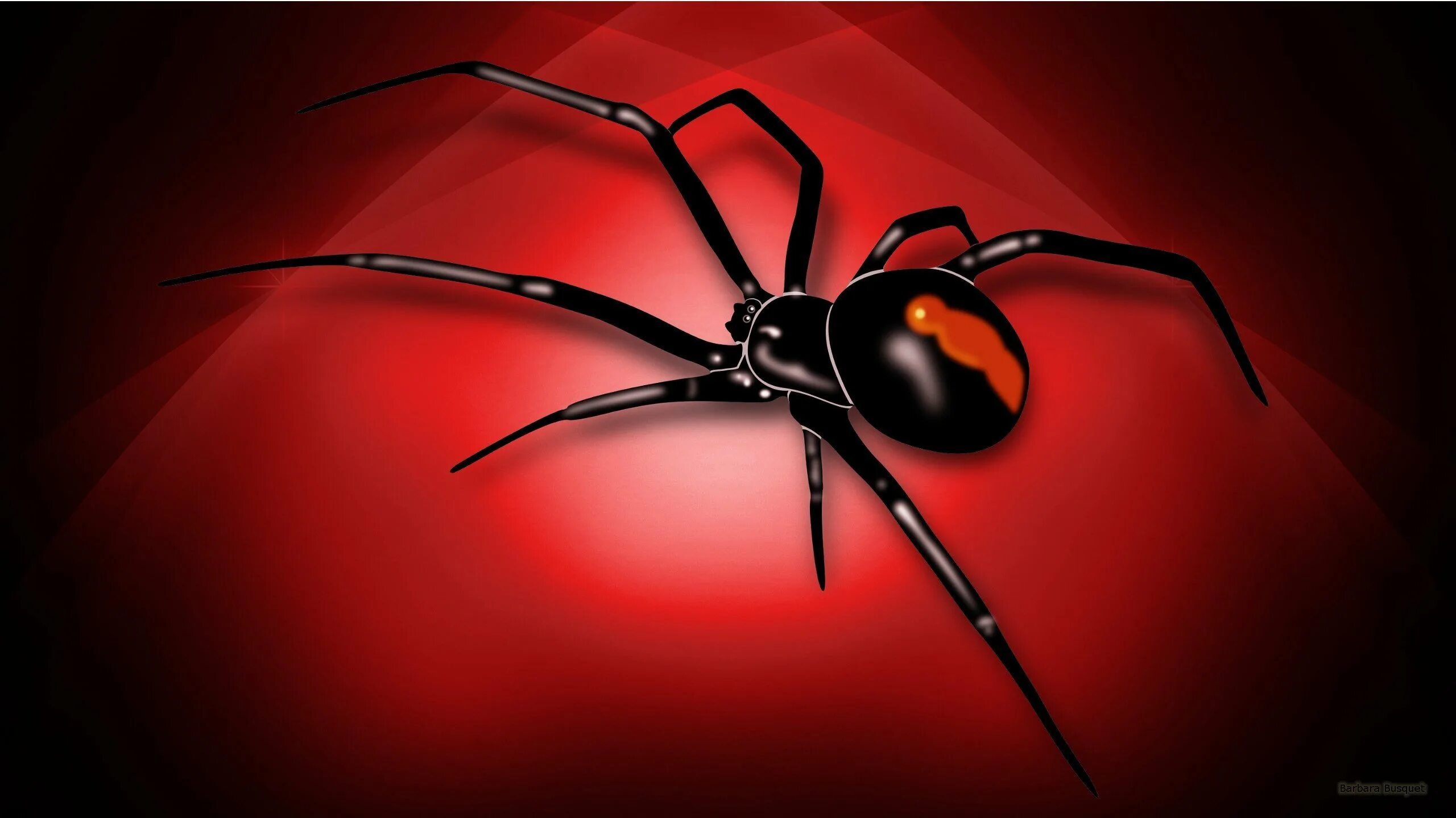 Скорпион каракурт. Красный Спайдер паук. Птицеед черная вдова. Черная вдова паук. Latrodectus mactans чёрная вдова.