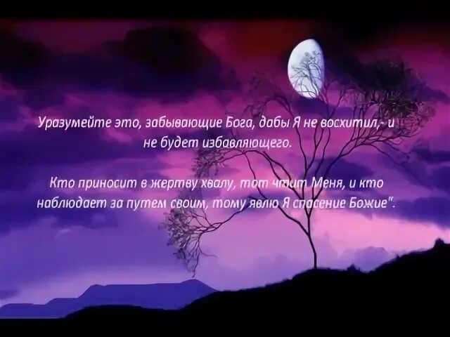 Псалом 49 читать. Псалом 49. Псалом 22 Псалом Давида Господь Пастырь мой. Псалом 49 слушать. Уразуметь.