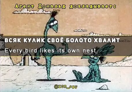 Всякая своему бору шумит