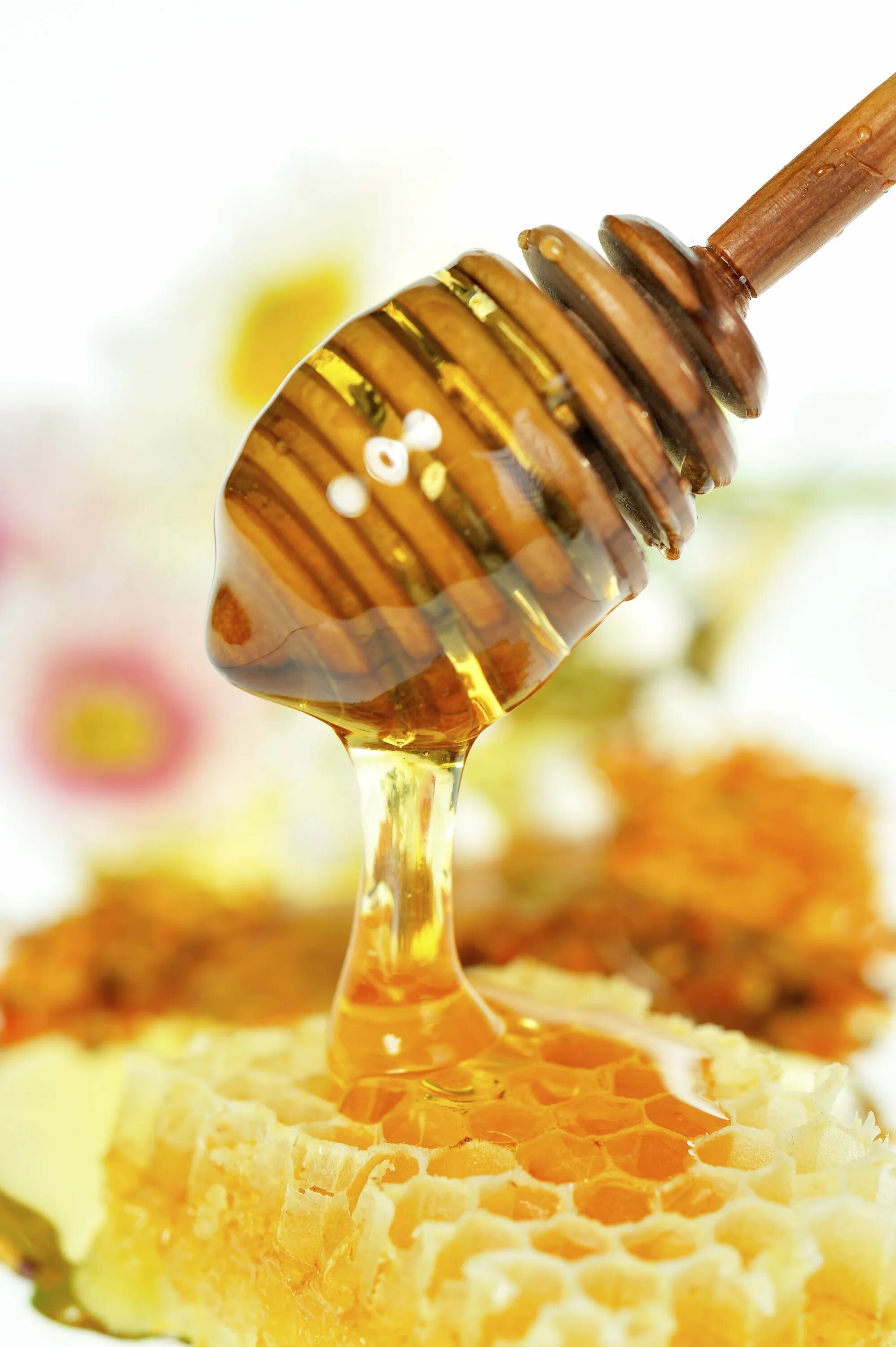 Honey фото. Мед. Мёд натуральный. Жидкий мед. Мёд пчелиный натуральный.
