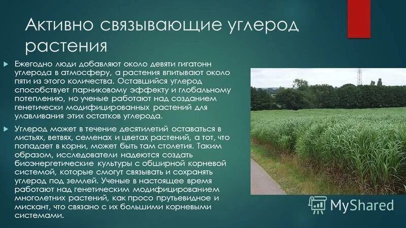 применение соединений углерода. где применяется углерод. углерод в растениях. углерод номер в таблице менделеева. строение атома углерода 9 класс.